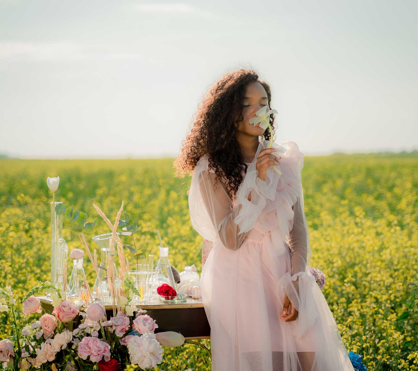 blog link background image