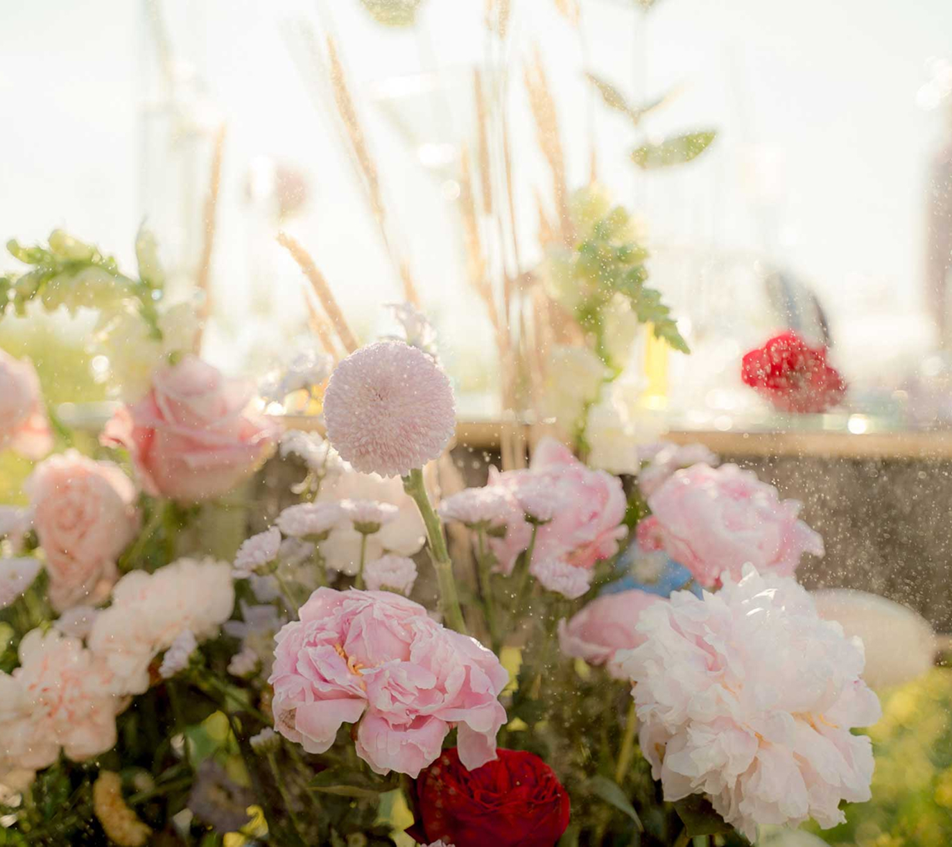 blog link background image