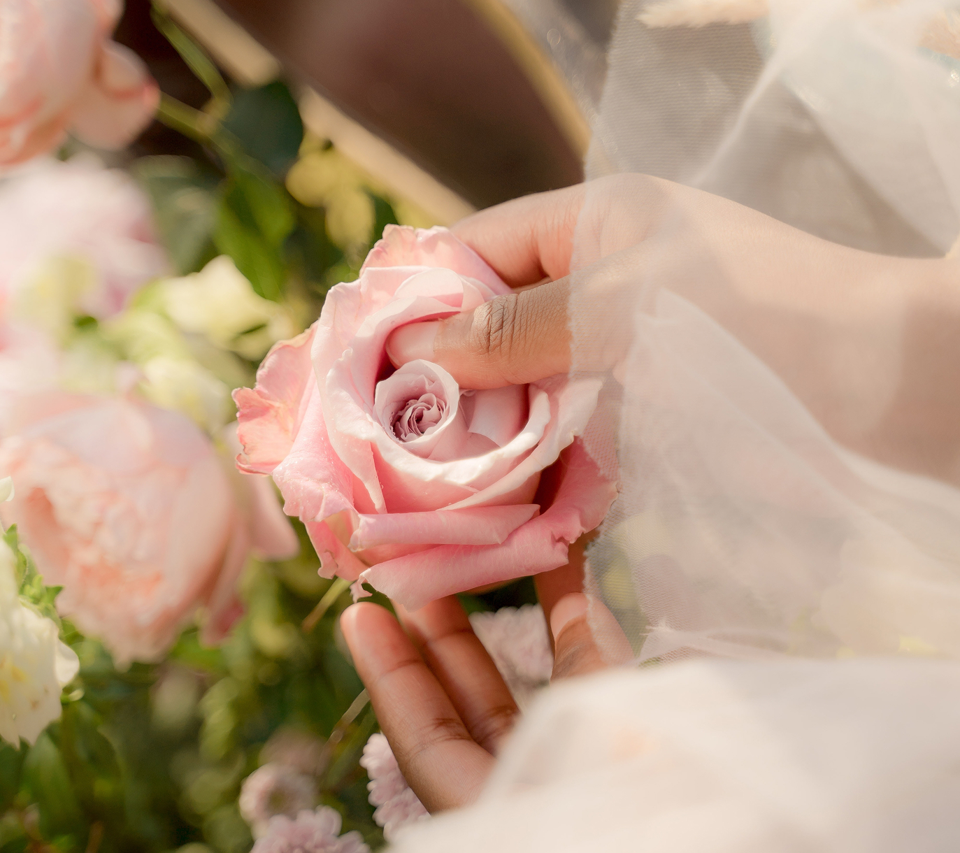 blog link background image